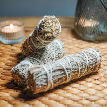 이미지를 갤러리 뷰어에 로드 , 大地藍鼠尾 - 𝗔𝗠𝗜𝗡療癒綠洲®