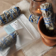 이미지를 갤러리 뷰어에 로드 , 淨化負能量的白鼠尾草