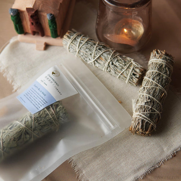 大地藍鼠尾 - 𝗔𝗠𝗜𝗡療癒綠洲®