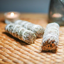 이미지를 갤러리 뷰어에 로드 , 大地藍鼠尾 - 𝗔𝗠𝗜𝗡療癒綠洲®