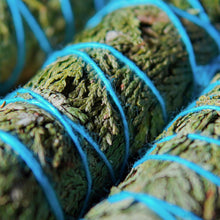 Load image into Gallery viewer, 索羅雪松 - 𝗔𝗠𝗜𝗡療癒綠洲®