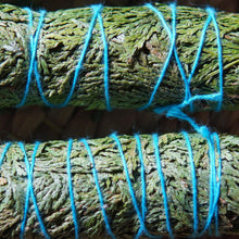 Load image into Gallery viewer, 索羅雪松 - 𝗔𝗠𝗜𝗡療癒綠洲®