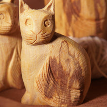 이미지를 갤러리 뷰어에 로드 , 安地聖貓 - 𝗔𝗠𝗜𝗡療癒綠洲®