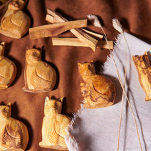 이미지를 갤러리 뷰어에 로드 , 安地聖貓 - 𝗔𝗠𝗜𝗡療癒綠洲®