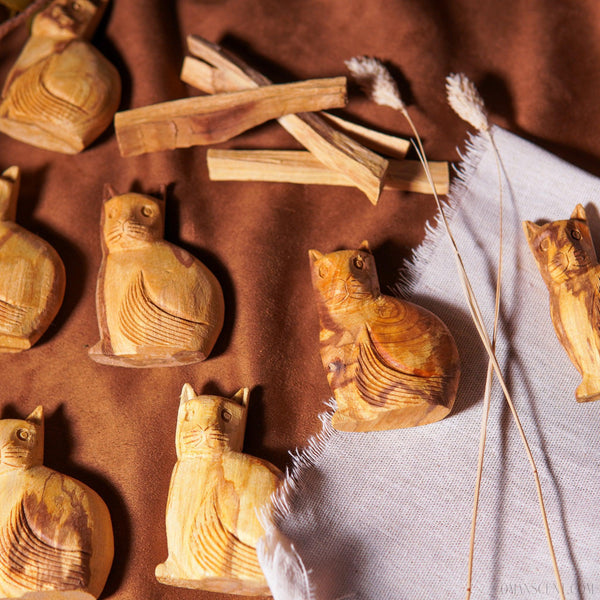 安地聖貓 - 𝗔𝗠𝗜𝗡療癒綠洲®