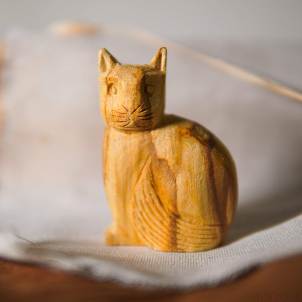 安地聖貓 - 𝗔𝗠𝗜𝗡療癒綠洲®