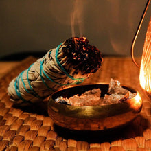 이미지를 갤러리 뷰어에 로드 , 在台灣與香港可以買的白鼠尾草