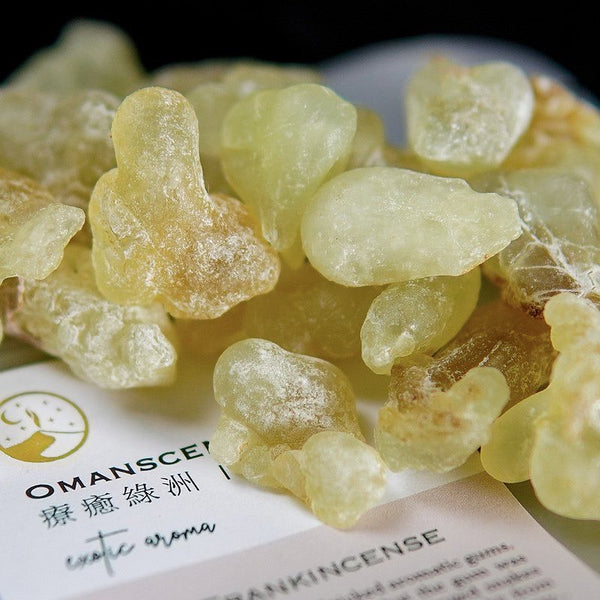 綠洲乳香產地在哪