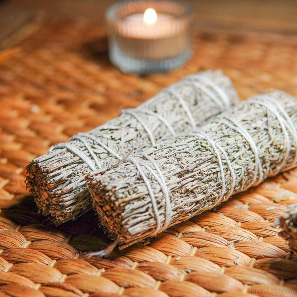 大地藍鼠尾 - 𝗔𝗠𝗜𝗡療癒綠洲®