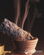 비디오를 갤러리 뷰어 白鼠尾草的淨化에 로드 및 재생