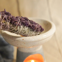 將圖片載入圖庫檢視器 綠洲薰衣鼠尾草 - 𝗔𝗠𝗜𝗡療癒綠洲®