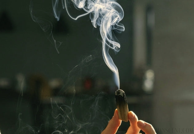 如何使用天然薰香樹脂、草木本薰香? 初學必看！𝗔𝗠𝗜𝗡療癒綠洲®