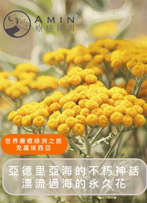 世界療癒綠洲 - 亞得里亞海的不朽神話「永久花」
