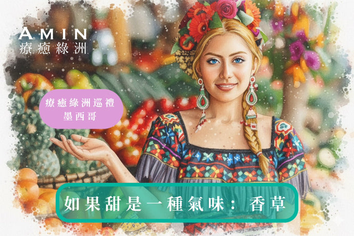 療癒綠洲之旅：墨西哥香草的濃郁魅力