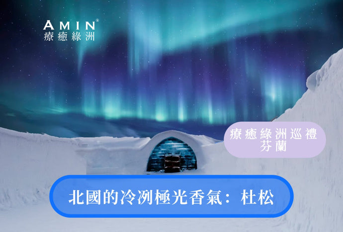 芬蘭杜松子：北國的冷冽極光色香氣